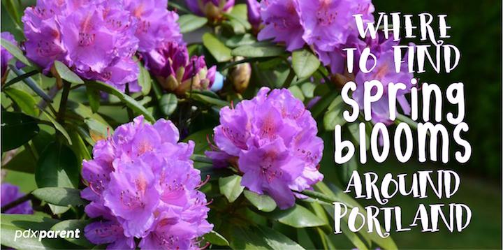 Where To Find Those Spring Blooms