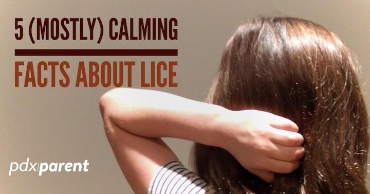 Five (Mostly) Calming Facts about Lice