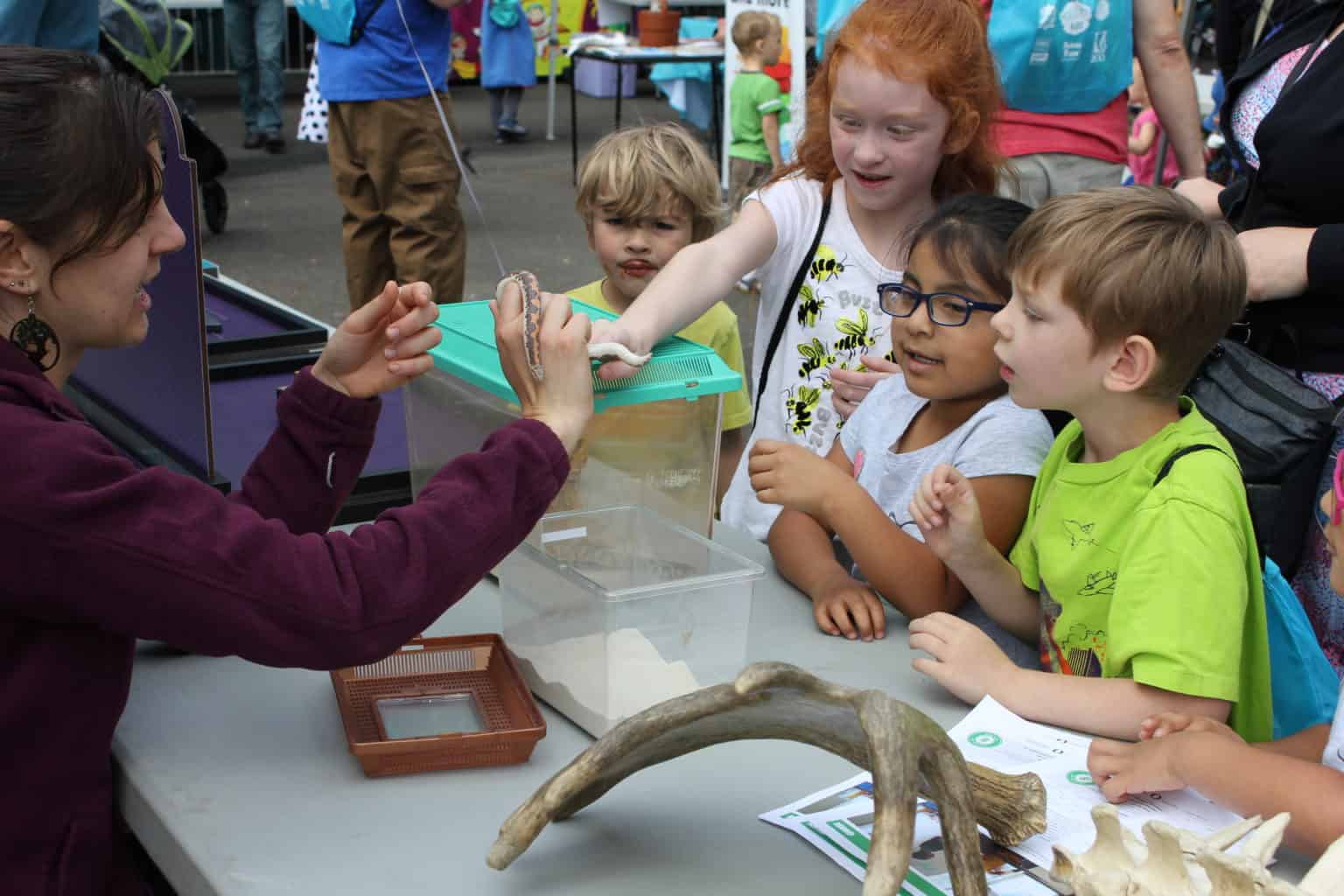 PDX Parent Family Festival