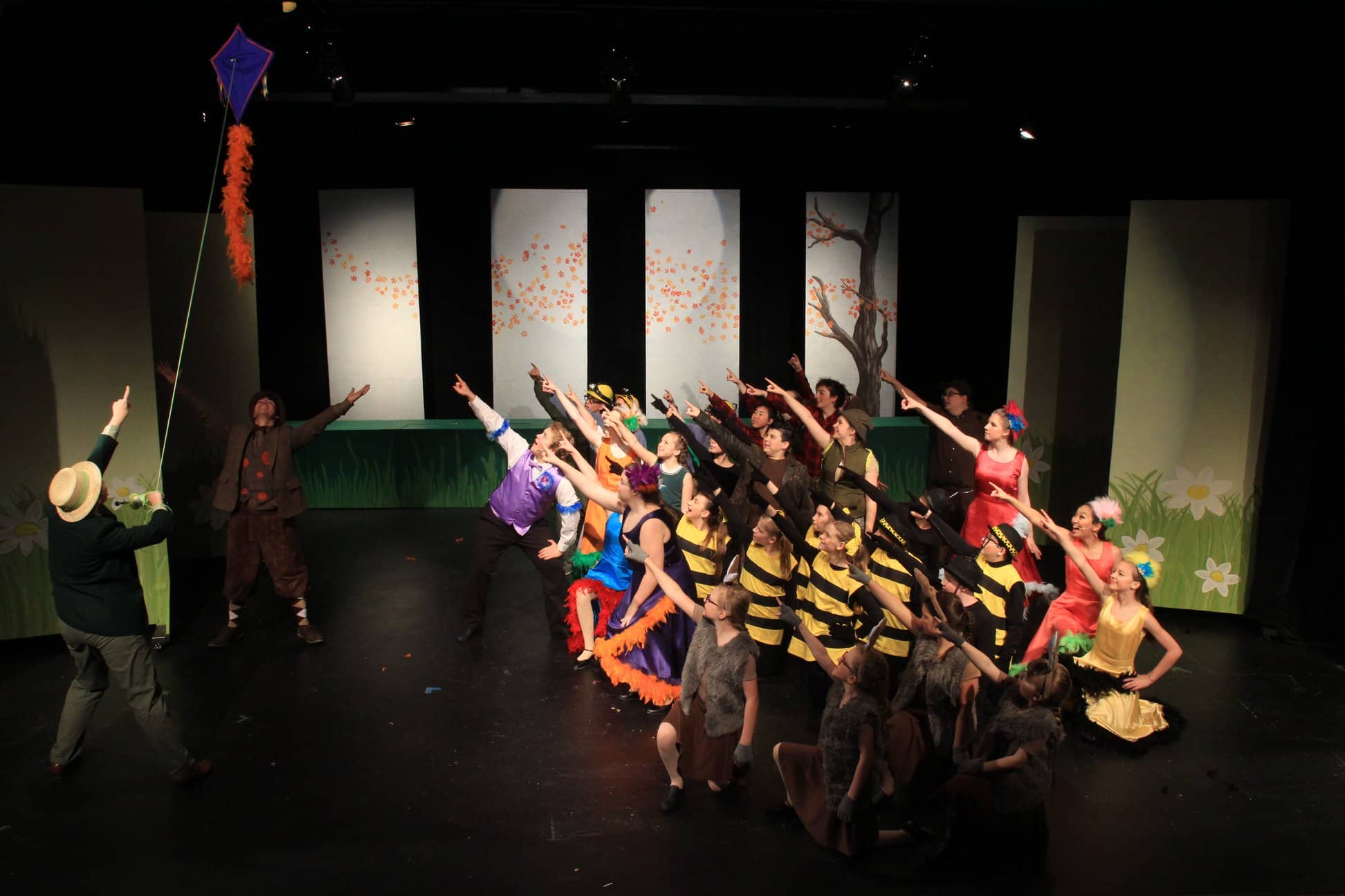 Frog & Toad Production
