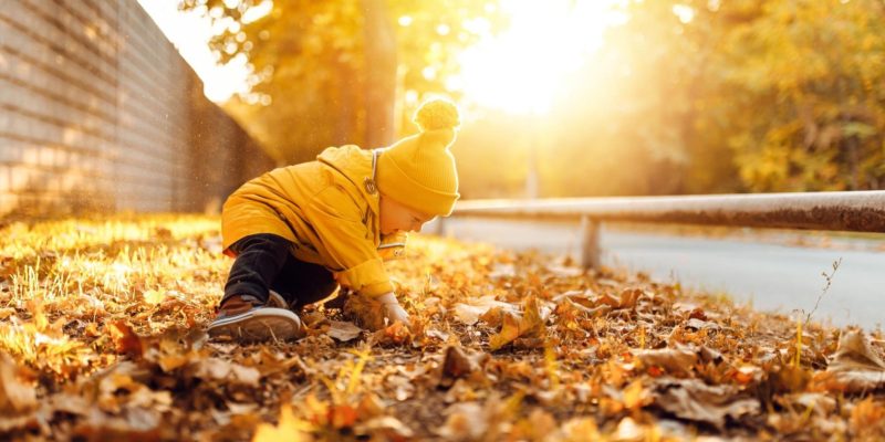 20 Free Things to Do with Kids in November