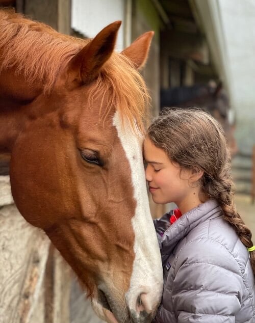 Avenue Mandarine Creative Box Horse Riding