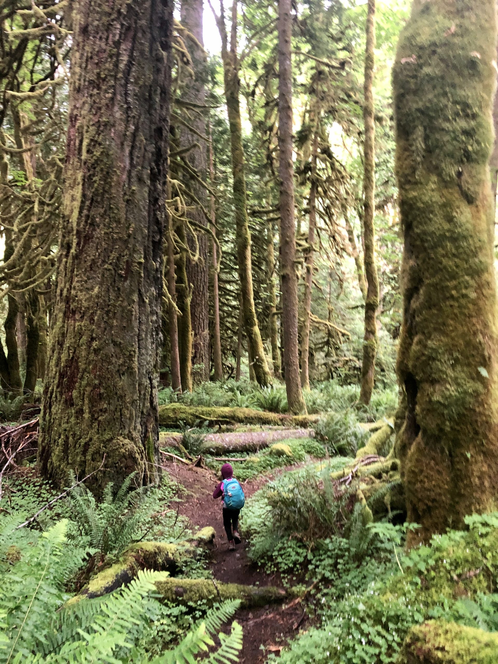 5 Fantastic Winter Hikes Near Portland