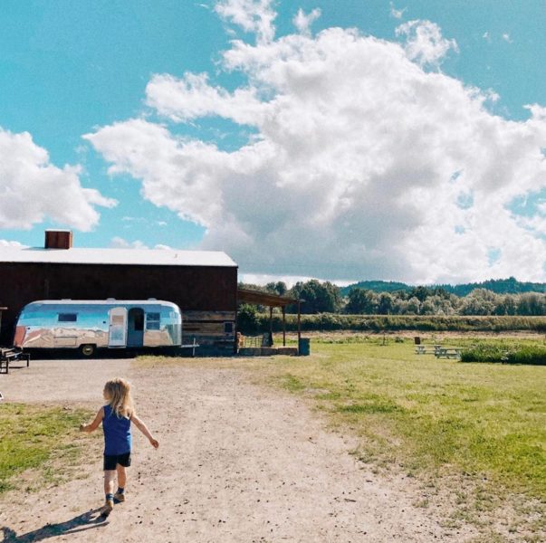 Topaz Farm on Sauvie Island