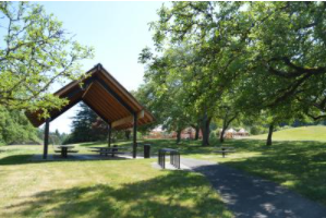 Grove Shelter Memorial Park Wilsonville