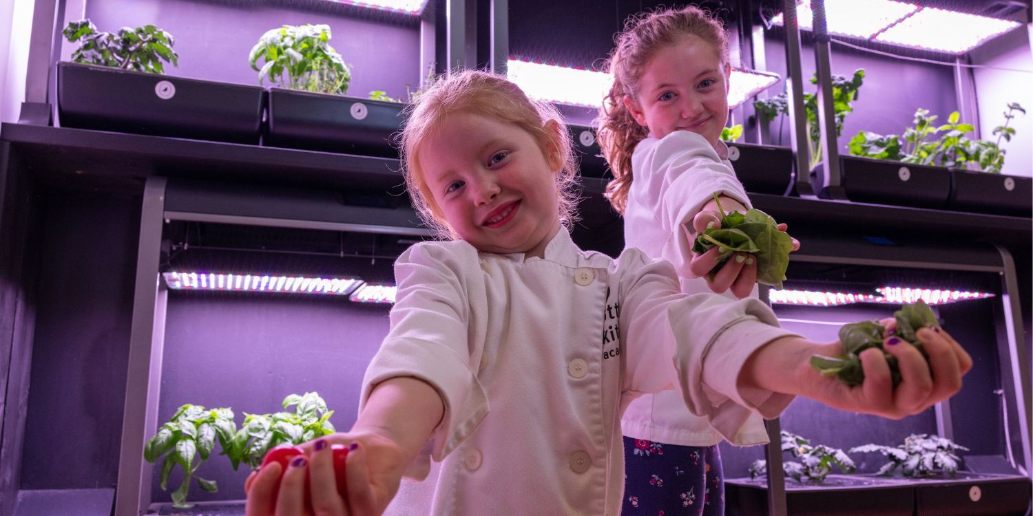 10 Lucky Readers Will Win a Free Winter Class at Little Kitchen Academy