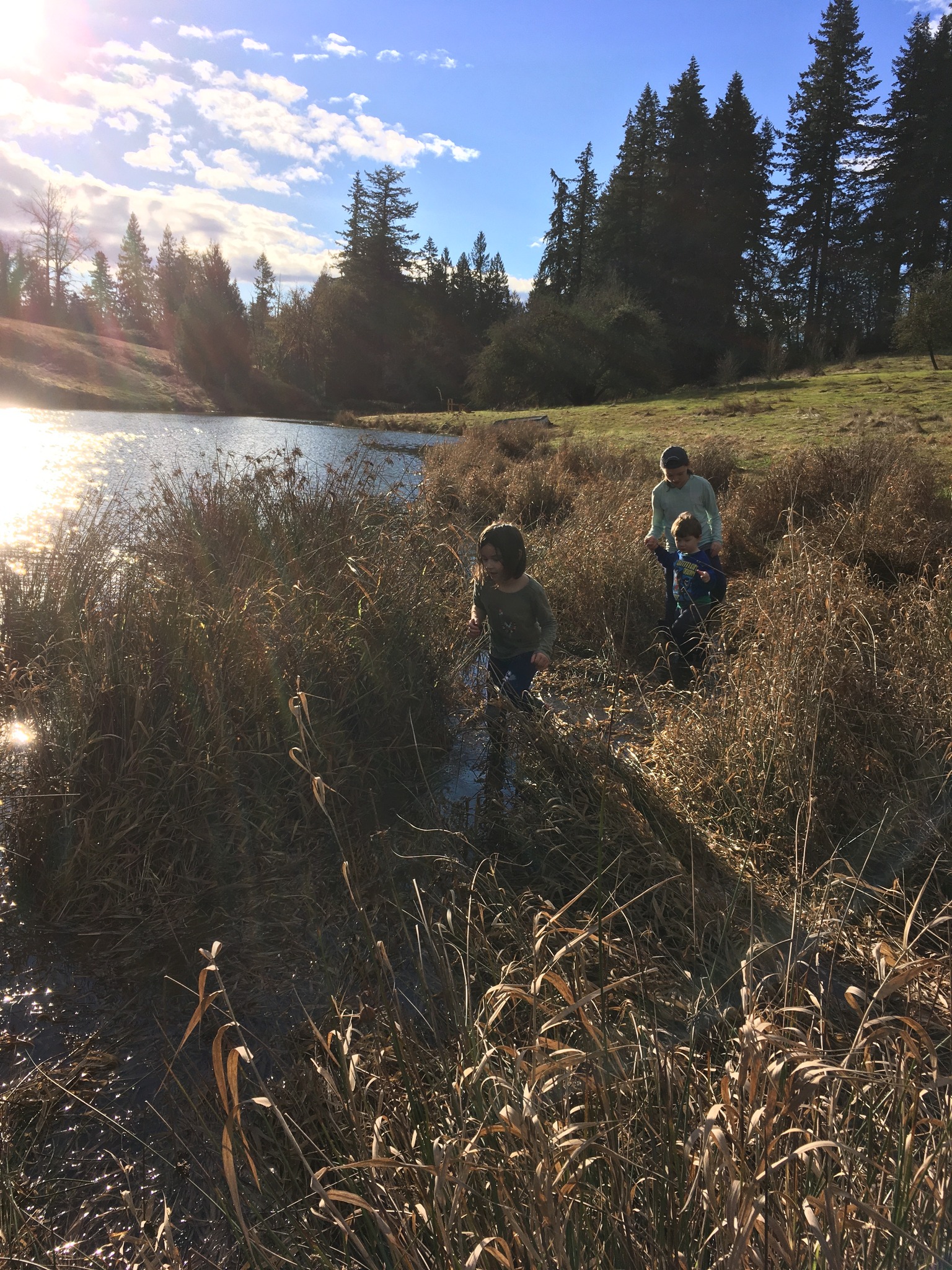 Tree Folk Camp – Science, Art and Outdoor Adventure! | PDX Parent Directory