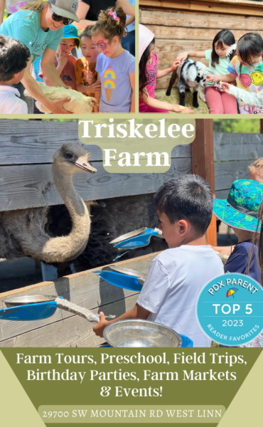 Triskelee Farm & Preschool
