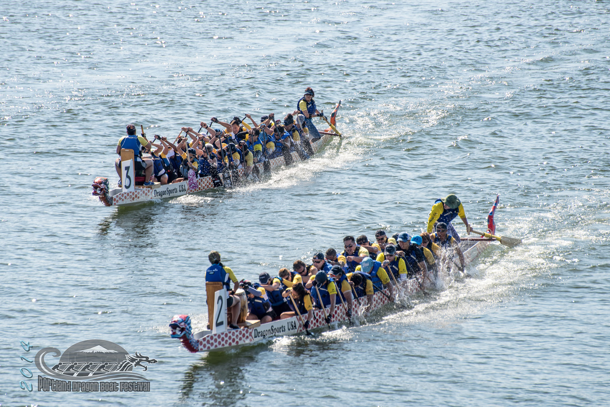 Dragon Boat Race - Portland Rose Festival - My Family Guide