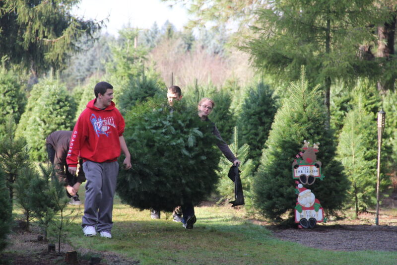 UCut Holiday Tree Farms
