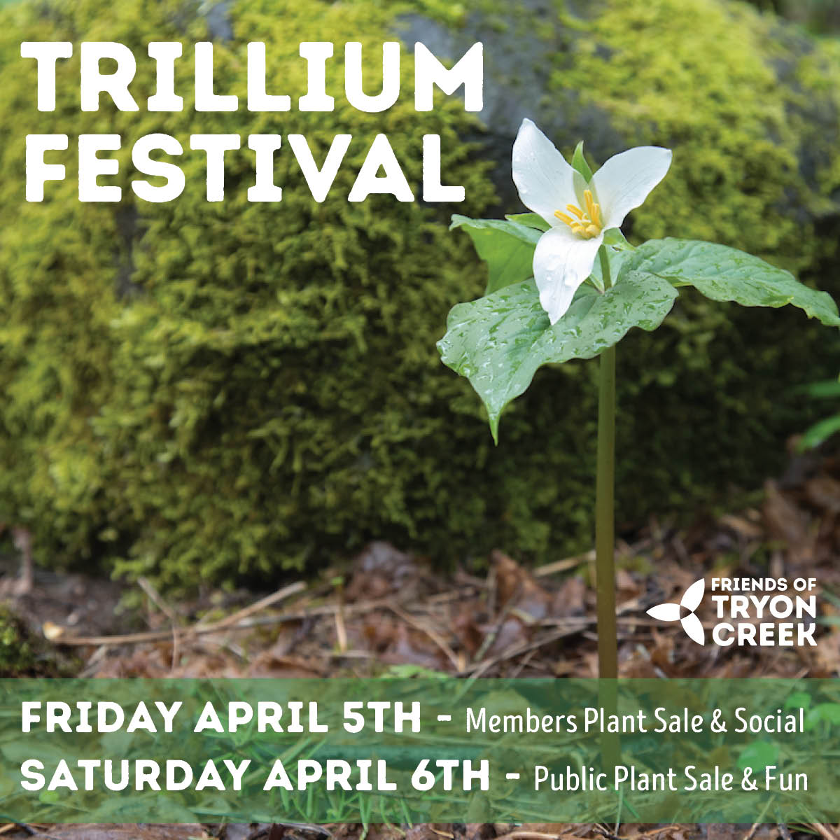 Trillium Festival